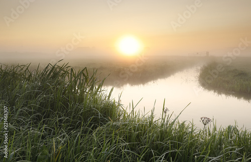 misty sunrise over river in countryside