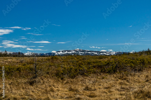 Long Range mountains from Berryhill Pond  Gros Morne National Park  Newfoundland  Canada