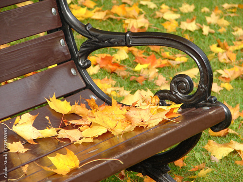 Obraz na płótnie Yellow leaves lie on a bench in park in autumn w salonie