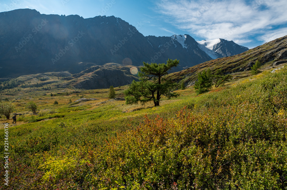 Nature of Altai mountains