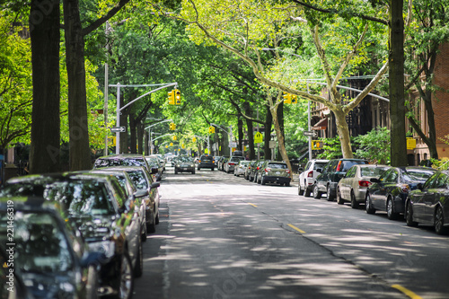 A quiet leafy street in Park Slope, Brooklyn.