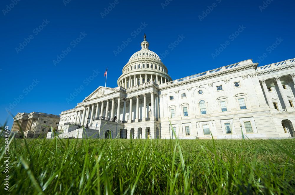 Obraz premium Capitol Building Washington DC USA scenic view across green grass lawn with entrance staircase