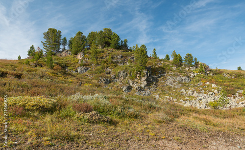 Wild nature of Altai mountains