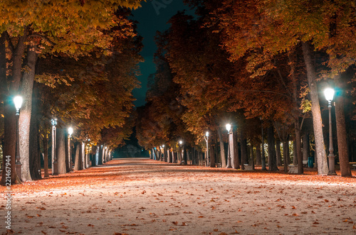 Фототапет Parco Ducale di Notte (Parma)