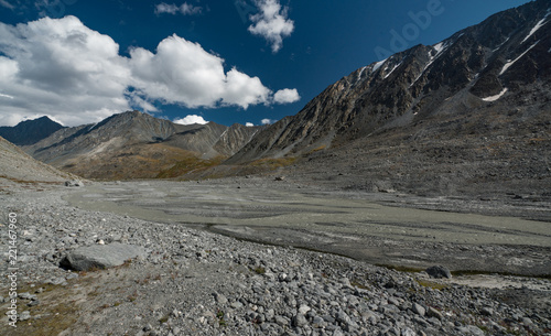 Wild nature of Altai mountains