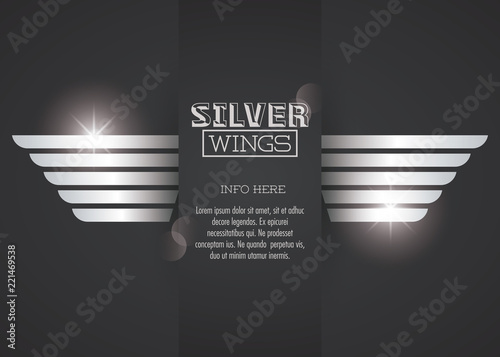 Luxury silver wings