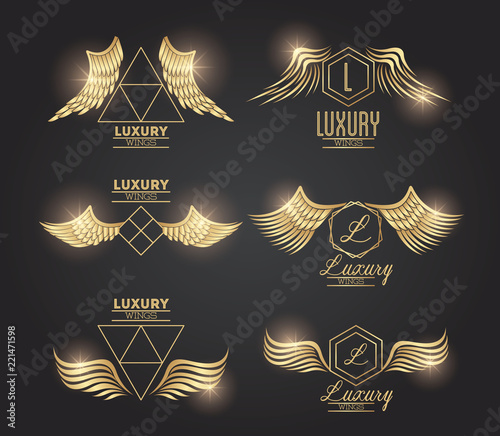 Set of golden wings emblems