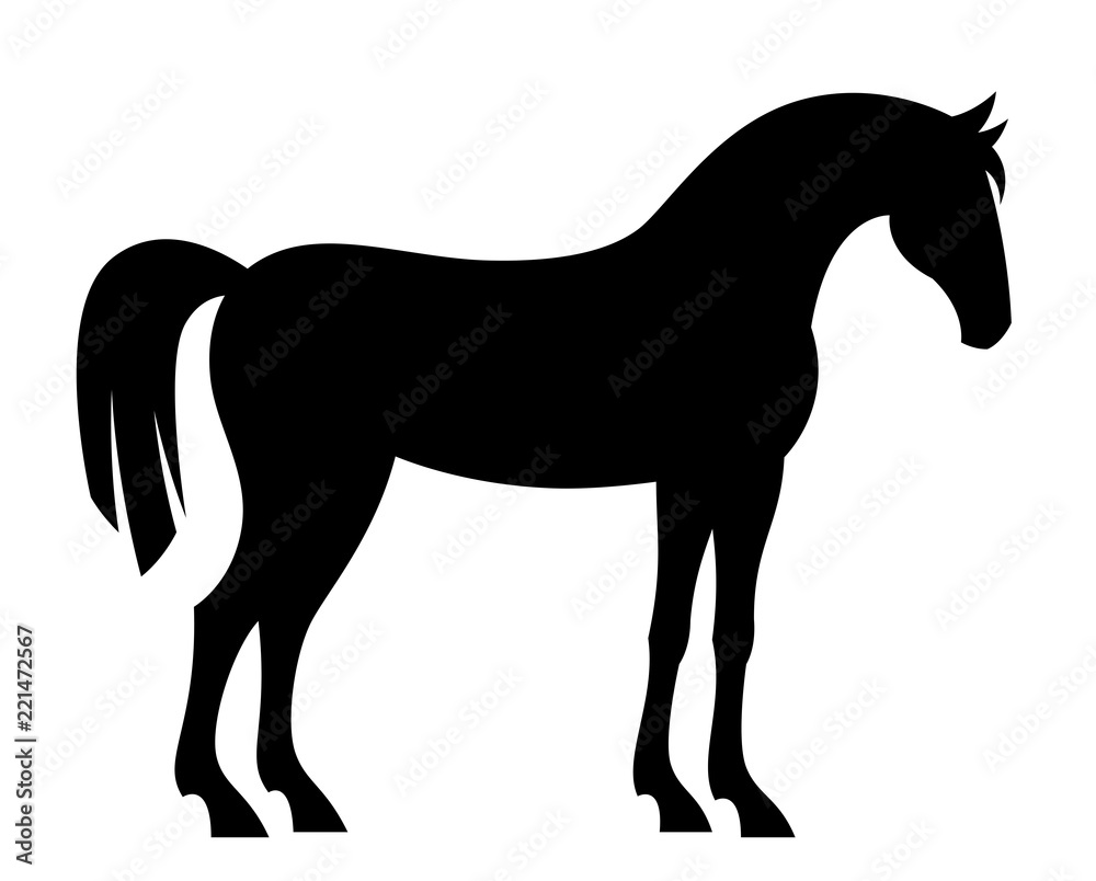 Black horse on a white background Black horse on a white background