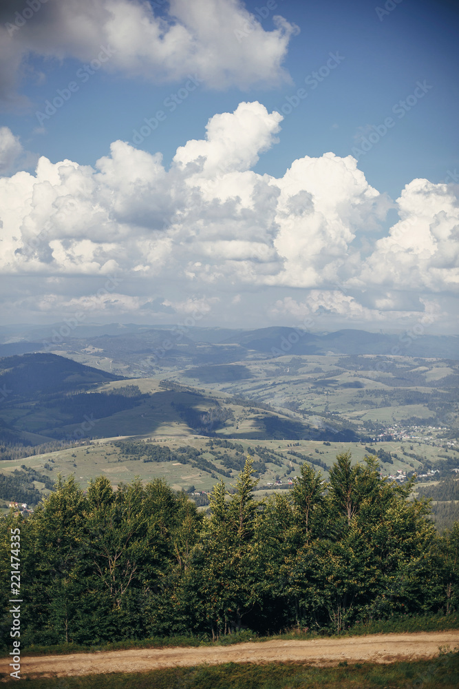 Fototapeta premium beautiful mountains hill landscape with blue sky and clouds. amazing view at grass, wildflowers, trees on mountain. travel and wanderlust concept.