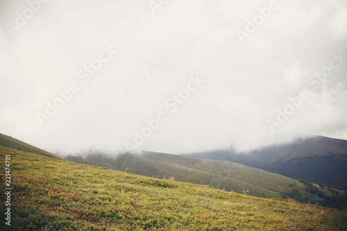 beautiful hill with grass in misty clouds and fog, sunny mountains. scenery landscape of hills in the morning light, with clouds. summer travel