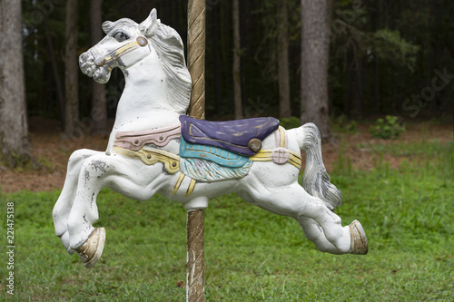 Carousel Horse