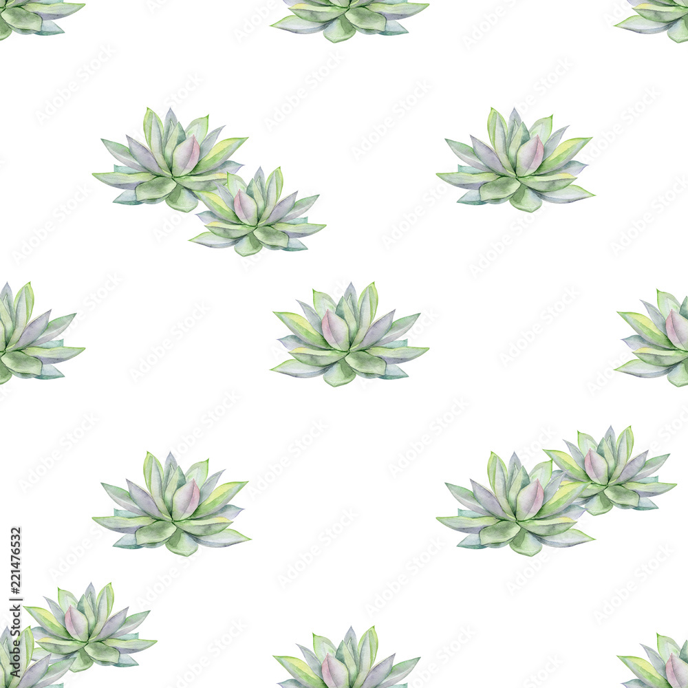 Watercolor succulents seamless pattern, echeveria illustration, botanical painting of dudleya and zwartkop. Stone rose. Sempervivum art. Elements for design of invitations, posters, fabrics. 