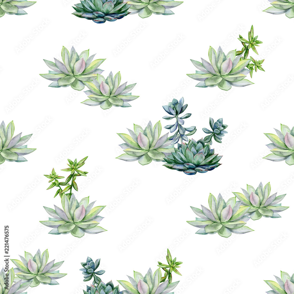 Watercolor succulents seamless pattern, echeveria illustration, botanical painting of dudleya and zwartkop. Stone rose. Sempervivum art. Elements for design of invitations, posters, fabrics. 