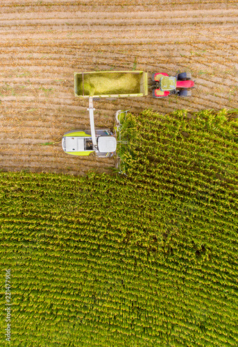 Maisernte auf Feld mit Traktor von oben