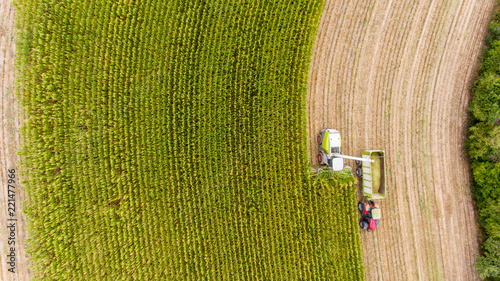 Maisernte auf Feld mit Traktor von oben