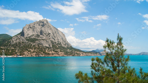 Pine on the background of the sea