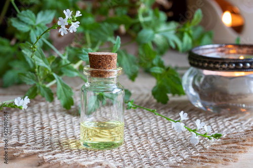 Fototapeta Naklejka Na Ścianę i Meble -  A bottle of vervain essential oil with blooming verbena officinalis