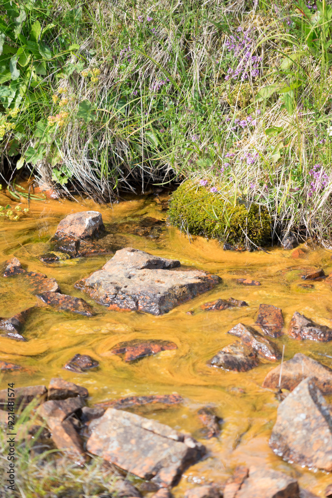 Landschaft bei Djúpivogur / Ostfjorde – Island