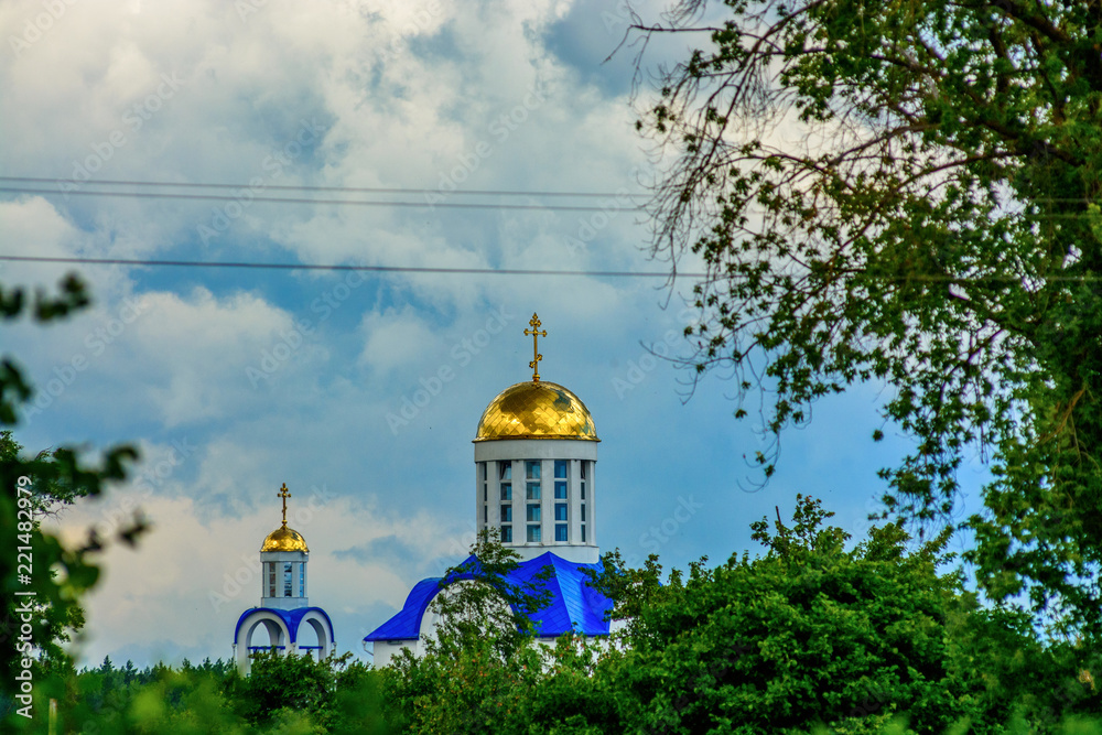 Domes of a church among trees against the sky