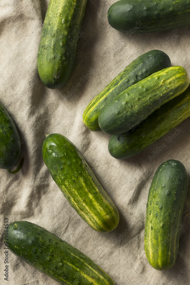 Raw Organic Green Pickling Cucumbers Raw Organic Green Pickling Cucumbers
