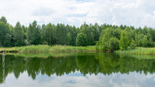 forest lake in summer