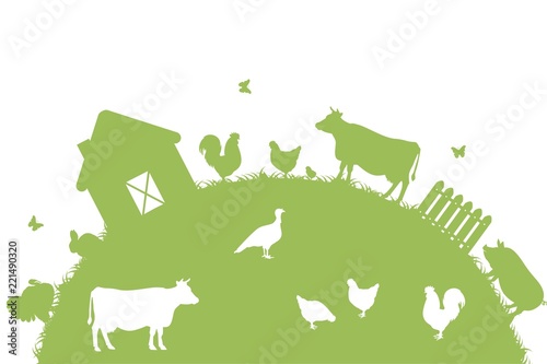 Ферма с животными photo