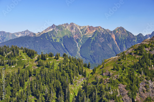 View from the Artist Ridge trail  located adjacent to the Mount Baker Scenic Highway in North Cascades  Washington  USA