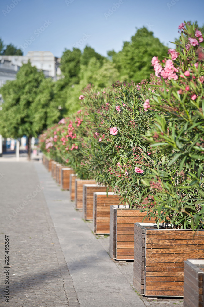 Lustgarten Stock Photo Adobe Stock