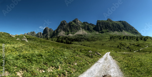 Alvier seen from Palfries photo