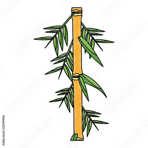 Bamboo asian plant scribble