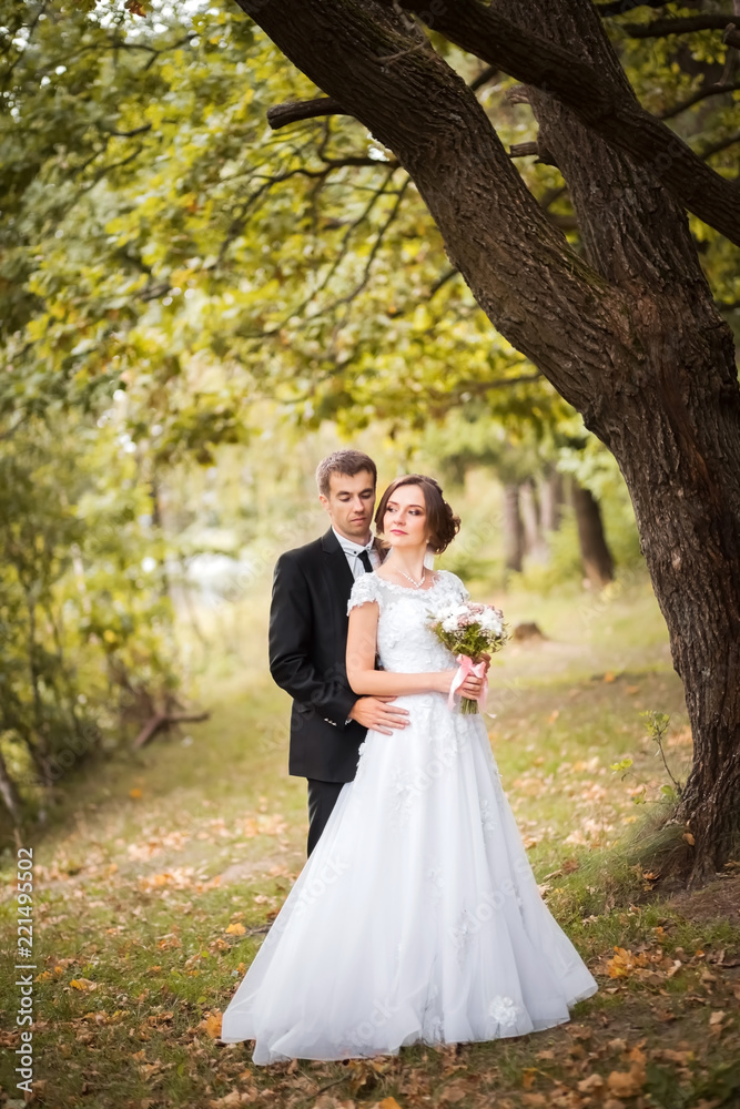 Happy wedding couple. Bride and groom embracing in the park. Sunny autumn day