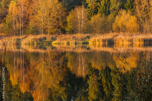 Autumnal reflections in water. Trees, reflections in water, autumnal colours. Autumn forest reflected in water. Autumn landscape.