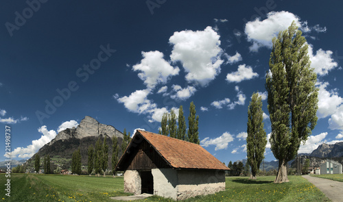 Gonzen and Poplars; scene on the Swiss Rhine valley floor near Sargans photo