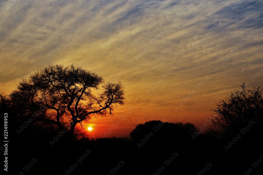 Sunset in Kruger National park