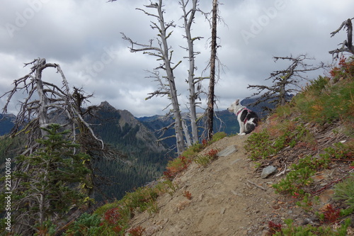 Hiking In Washington State, the Pacific Northwest photo