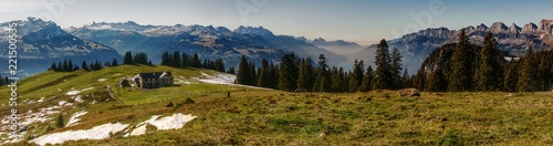 Alp Palfries above Sargans, the largest grazing alp in the East of Switzerland