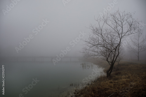 Amazing landscape of bridge reflect on surface water of lake, fog evaporate from pond make romantic scene or Beautiful bridge on lake with trees at fog.