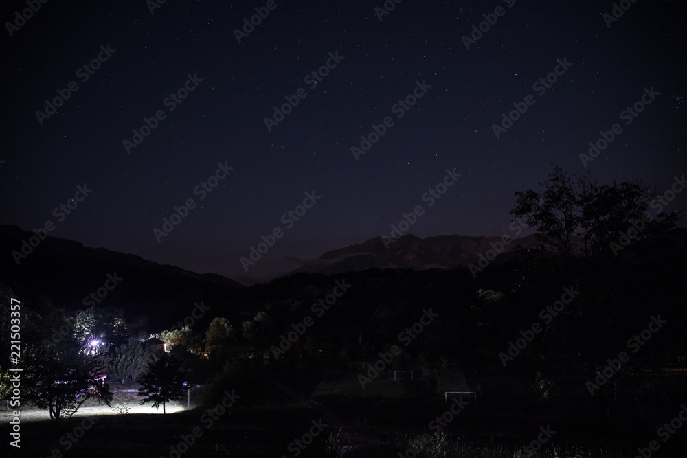 Landscape of night forest with green meadow in bright starry night or view of milky way in the woodland