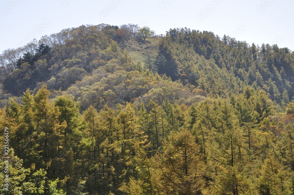 紅葉の七ツ石山 紅葉の七ツ石山