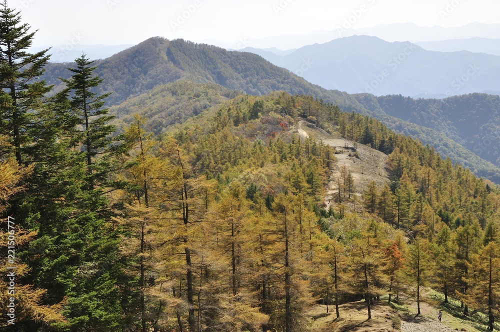 紅葉の石尾根縦走路と七ツ石山 紅葉の石尾根縦走路と七ツ石山
