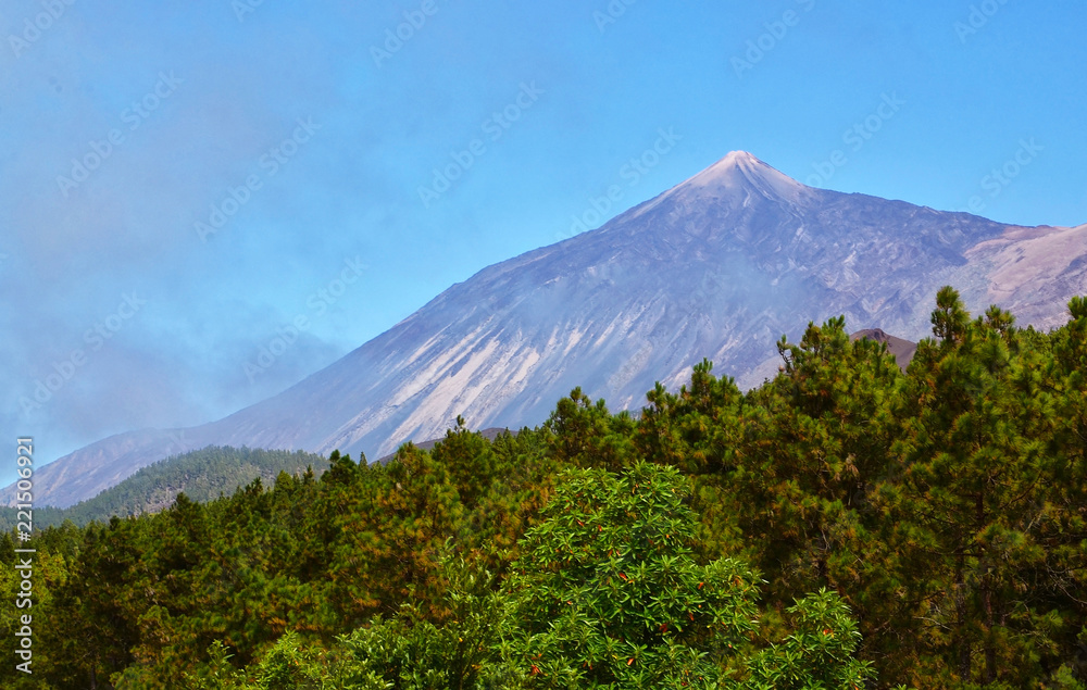 View on Pico del Teide volcano with pine forest in the foreground from Santiago del Teide,
Tenerife,Canary Islands,Spain.