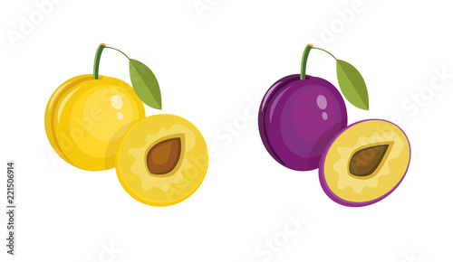 Yellow and blue plum isolated on white background. Colorful half and whole plum with a leaf. Perfect for juice or jam. Vector illustration Vector illustration