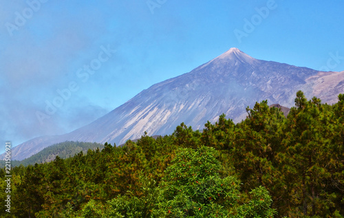 View on Pico del Teide volcano with pine forest in the foreground from Santiago del Teide, Tenerife,Canary Islands,Spain.