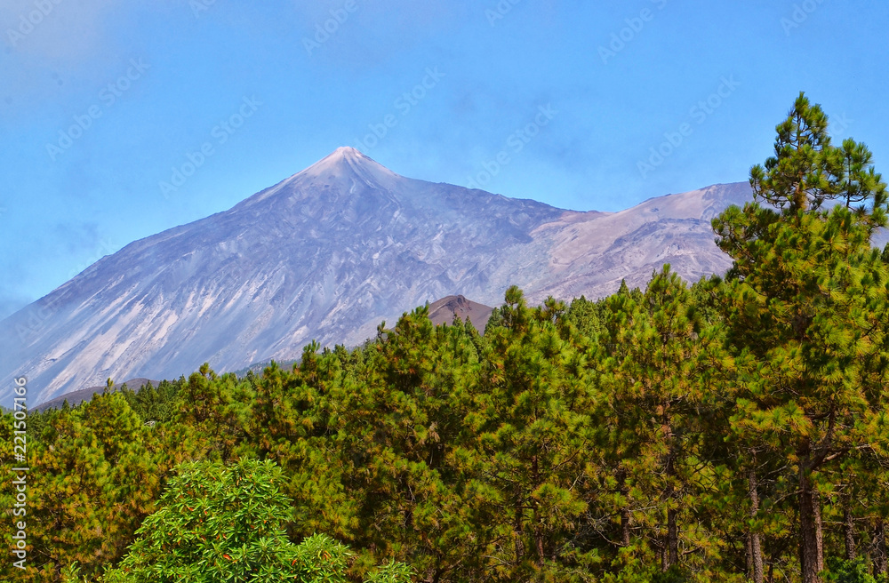 View on Pico del Teide volcano with pine forest in the foreground from Santiago del Teide,
Tenerife,Canary Islands,Spain.