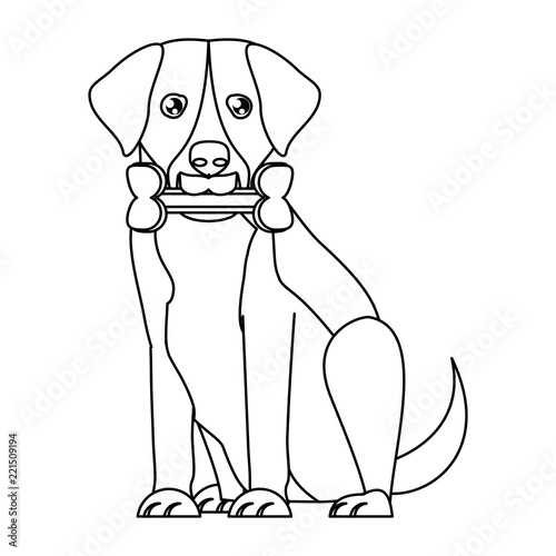Dog breeds design