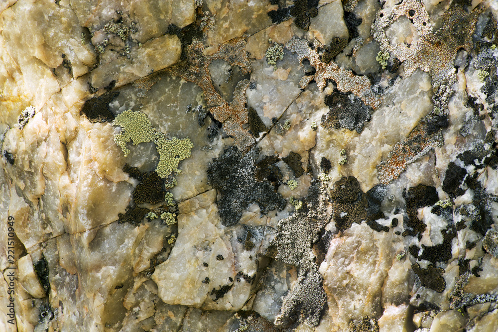 Lichen on the Rocks at Lake Marie in the Snowy Range Mountains of Wyoming Lichen on the Rocks at Lake Marie in the Snowy Range Mountains of Wyoming