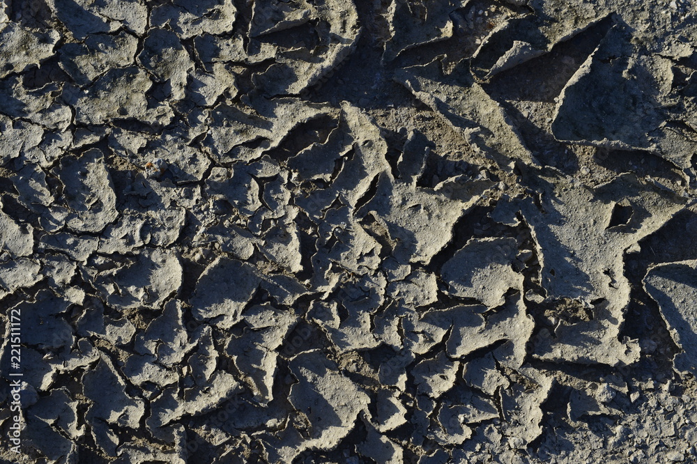 Fototapeta premium The parched soil