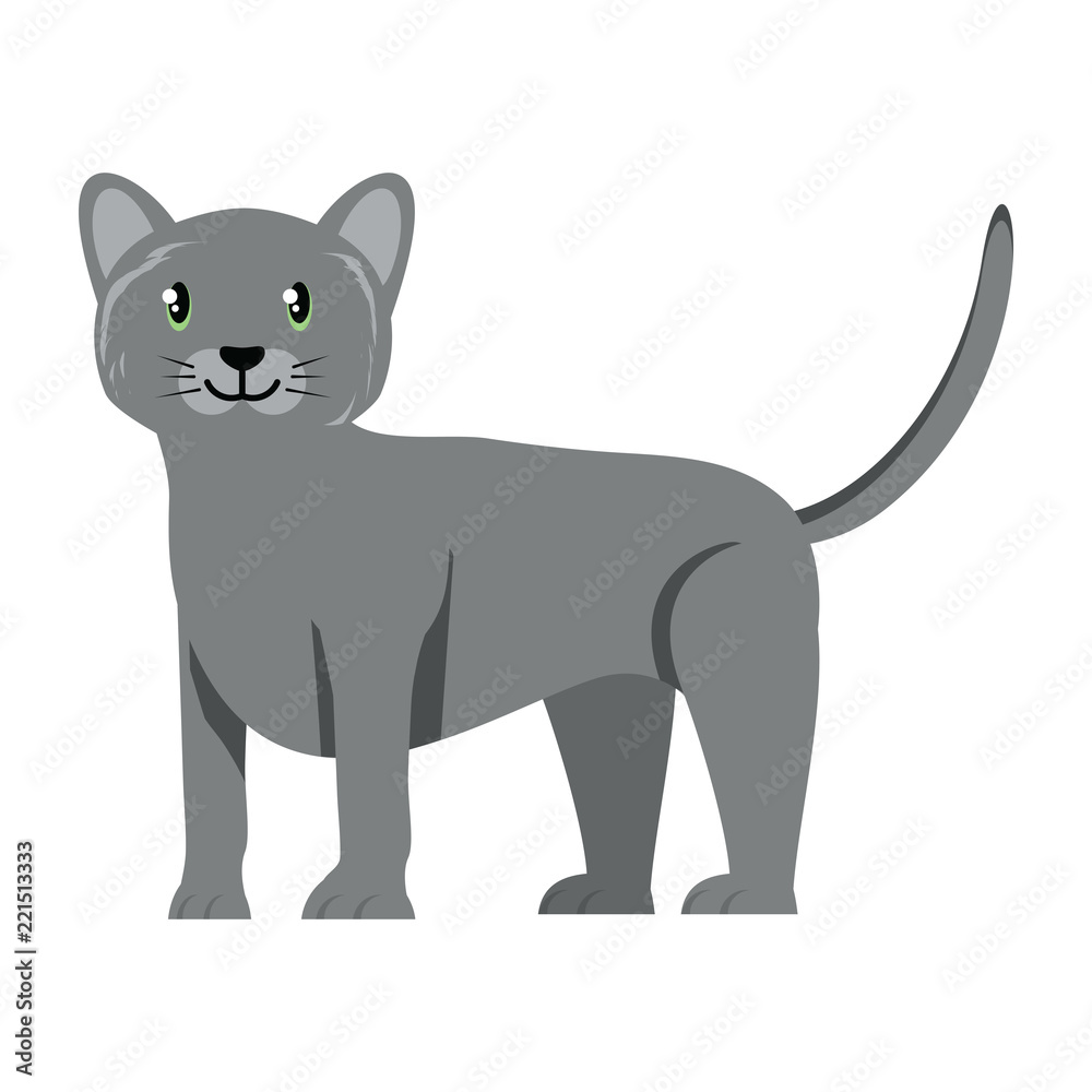 cute cat icon cute cat icon