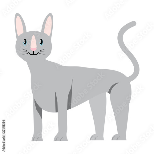 cute cat design