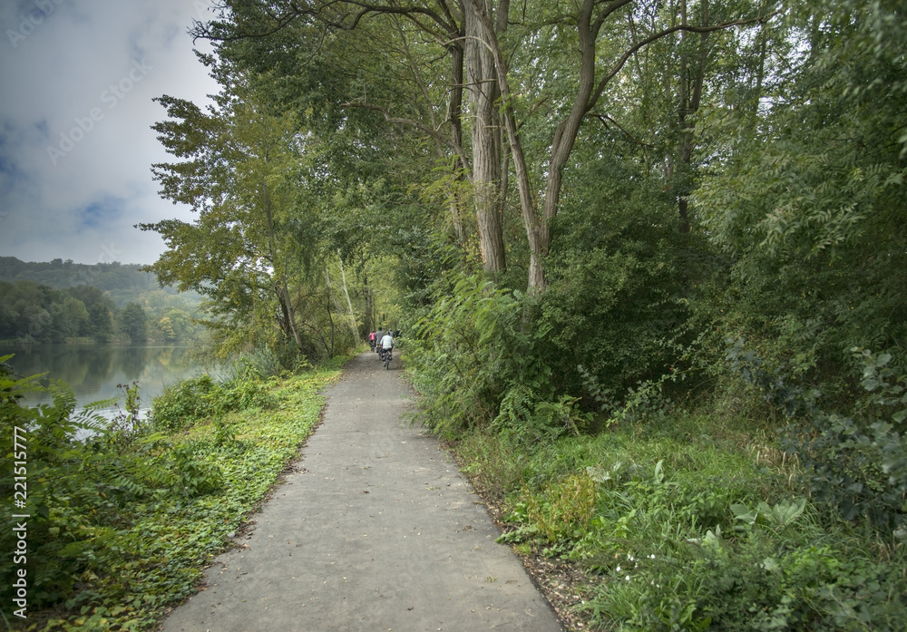 Fototapeta premium Bicyclists on beautiful bicycle path between trees and river in France